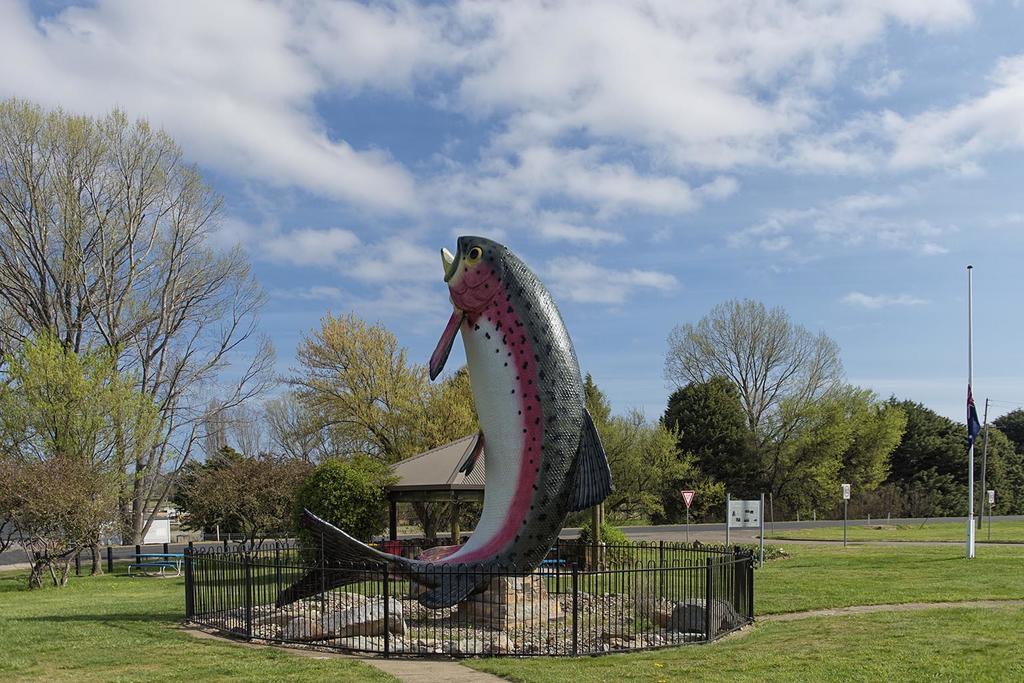 Rainbow Pines Tourist Caravan Park Adaminaby Bagian luar foto