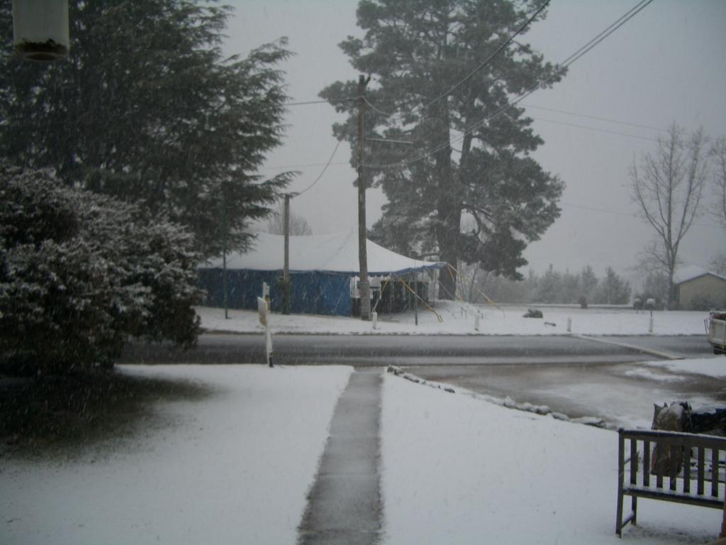 Rainbow Pines Tourist Caravan Park Adaminaby Bagian luar foto
